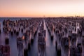 Scenery of Princes Pier in melbourne at dusk