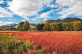 Scenery of Red Grassland in Daocheng, Sichuan, China