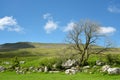 Scenery in Ribblesdale near Winterscale Beck in Yorkshire Dales Royalty Free Stock Photo
