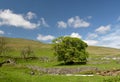 Scenery in Ribblesdale near Winterscale Beck in Yorkshire Dales Royalty Free Stock Photo