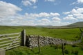 Scenery in Ribblesdale near Winterscale Beck in Yorkshire Dales Royalty Free Stock Photo