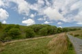 Scenery in Ribblesdale near Winterscale Beck in Yorkshire Dales Royalty Free Stock Photo