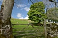 Scenery in Ribblesdale near Winterscale Beck in Yorkshire Dales Royalty Free Stock Photo