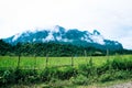 Rice field, mountain and bamboo wall in foggy day Royalty Free Stock Photo