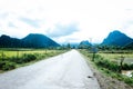 Rice field, mountain and bamboo wall in foggy day Royalty Free Stock Photo