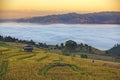 Scenery of Rice fields on terraced of Ban Pa Pong Piang Royalty Free Stock Photo