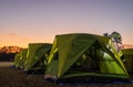 Scenery of rows of green canvas camping tents with floodlights installed on the lawn