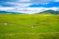 Scenery of Ruoergai grassland in early autumn