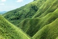 Sanjiaolun mount, aka matcha mountain, in Jiaoxi township, taiwan