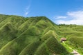 Sanjiaolun mount, aka matcha mountain, in Jiaoxi township, taiwan