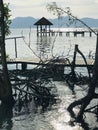 Scenery of sea view pavilion of `Mature mangrove forest and black sand beach` in Trat, Thailand.