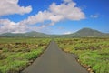 The scenery with a small road and bushes and mountain background outside nearby Cueva de Los Verdes, Lanzarote, Spain Royalty Free Stock Photo