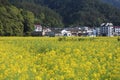 The scenery of spring in Southern Anhui is exceptionally beautiful