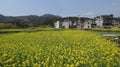 The scenery of spring in Southern Anhui is exceptionally beautiful