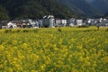 The scenery of spring in Southern Anhui is exceptionally beautiful