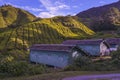 Scenery of staff quarters near to the tea plantation area Royalty Free Stock Photo