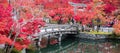 Scenery Stone bridge and pond with colorful leaves in Eikando temple, beautiful nature garden in Autumn foliage season, landmark Royalty Free Stock Photo