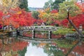 Scenery Stone bridge and pond with colorful leaves in Eikando temple, beautiful nature garden in Autumn foliage season, landmark Royalty Free Stock Photo