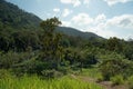 Scenery summer mountain landscape with forested hills, trees and blue sky, natural outdoor travel background, Malaysia Royalty Free Stock Photo