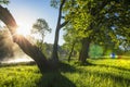 Scenery summer nature landscape of green grass and trees on shore of river in the morning with bright sun through trunk of tree Royalty Free Stock Photo
