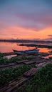 Scenery of sunset swamp at Central Java, Indonesia Royalty Free Stock Photo