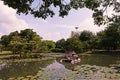 Scenery of swamp full of water lily and aquatic plants Royalty Free Stock Photo