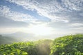 Scenery of a tea farm plantation at Cameron Highland, Malaysia with cloudy sky and sunlight.