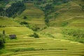 The scenery of terraced fields in Mu Cang Chai in the ripe rice season