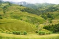 The scenery of terraced fields in Mu Cang Chai in the ripe rice season