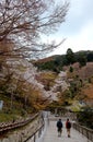 Scenery of tourists walking on the path to majestic Kiyomizu Dera, a famous Buddhist Temple in Kyoto Royalty Free Stock Photo