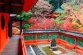 Scenery of a traditional Japanese corridor and a pavilion surrounded by fiery maple trees in the garden Royalty Free Stock Photo