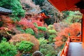 Scenery of a traditional Japanese corridor and a pavilion surrounded by fiery maple trees