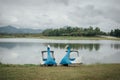 The scenery of the two swan pedal boats parking on the lake on a cloudy day in Chiang Rai, Thailand Royalty Free Stock Photo