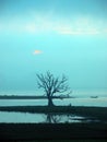 Scenery of Ubein Bridge Royalty Free Stock Photo