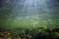 Scenery under clear river water