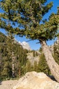 Scenery up at Inspiration Point in Grand Teton National Park Wyoming Royalty Free Stock Photo