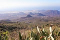 Scenery valley in Spain. Travel adventures and outdoor lifestyle. Cactus,vegetation and sunset panorama in Tenerife