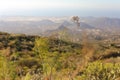 Scenery valley in Spain. Travel adventures and outdoor lifestyle. Cactus,vegetation and sunset panorama in Tenerife