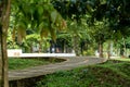 A scenery view focused on the gravel road with out of focus park at the background