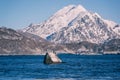 Scenery winter landscape in the Norway, wild northern nature, Lofoten Islands, Napp, Flakstad Royalty Free Stock Photo