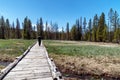 Scenery in Yellowstone National Park at the end of spring, early summer