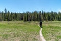 Scenery in Yellowstone National Park of hiker on trail