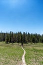 Scenery in Yellowstone National Park of hiker on trail