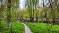 The scenery of Yuhua Garden in Changchun, China in spring Royalty Free Stock Photo