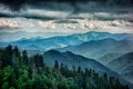 Scenes along appalachian trail in great smoky mountains