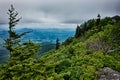 Scenes along appalachian trail in great smoky mountains Royalty Free Stock Photo