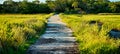 Scenes at botany bay plantation near charleston south carolina Royalty Free Stock Photo