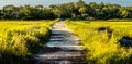 Scenes at botany bay plantation near charleston south carolina Royalty Free Stock Photo