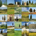 Scenes with cypresses Royalty Free Stock Photo