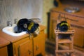Scenes from the life of bumblebee family. Royalty Free Stock Photo